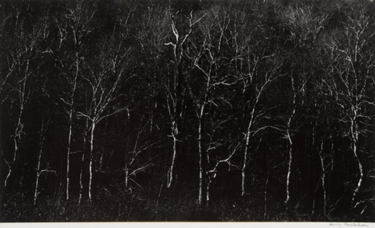 New Hampshire (#122 from ""Photographs Harry Callahan)